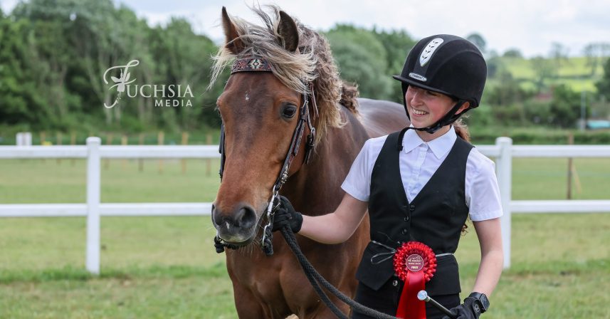 The Somerset Horse Show