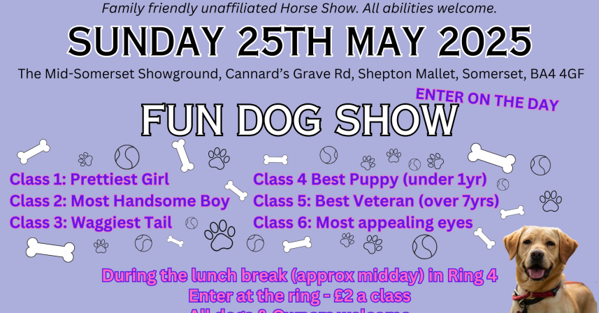 The Somerset Horse Show